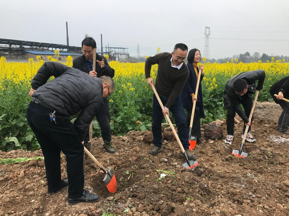 大邑县开展义务植树暨“学雷锋”  植树护绿志愿服务活动
